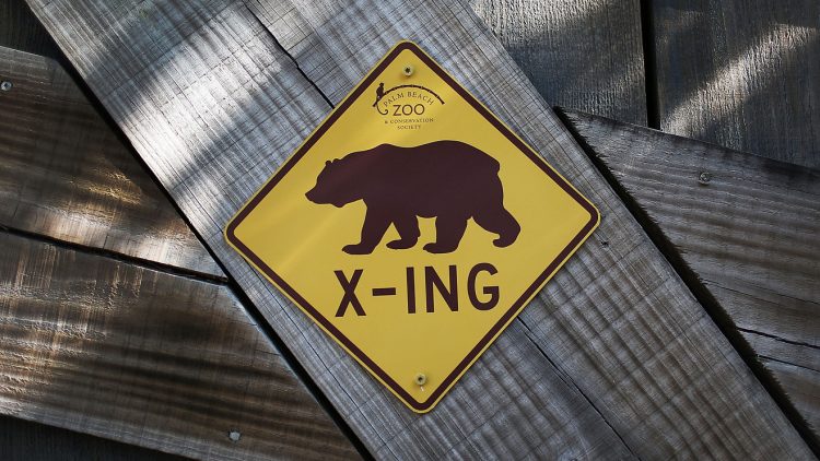 ‘The market isn’t pricing in an all-clear on the economy,’ say BofA analysts, who say the S&P 500 will end the year at 2900