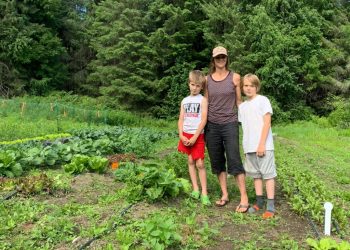 Community gardeners request COVID-19 relief funds to promote food security | KHNS Radio
