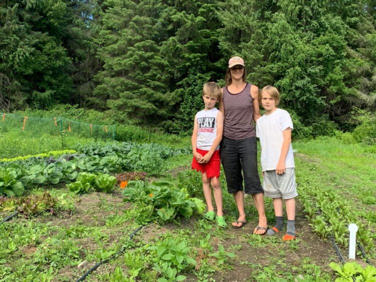 Community gardeners request COVID-19 relief funds to promote food security | KHNS Radio