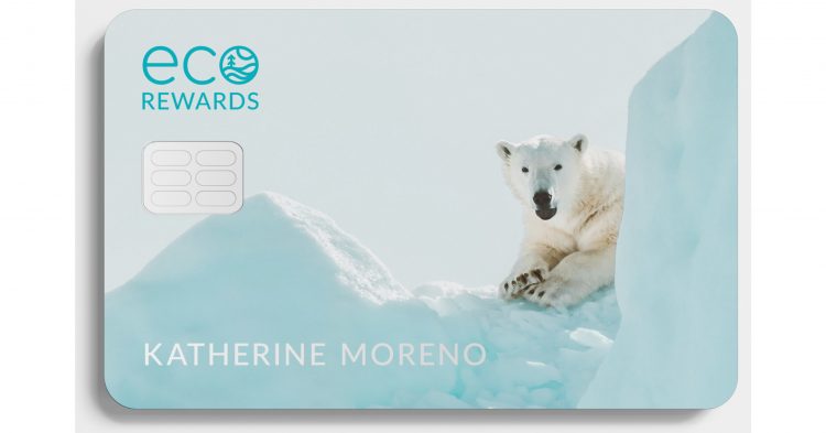 Funding Environmental Charities With Credit Card Rewards