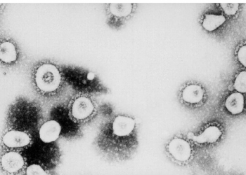 July 1 coronavirus roundup for San Benito County