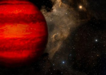 Consumer Researchers Assist Discover “Bizarre” Brownish Dwarfs – Skies & Telescope