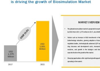 Biosimulation Industry investigated in the latest research