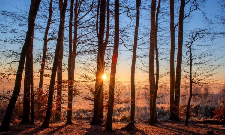 XRP short-term Price Analysis: 04 July