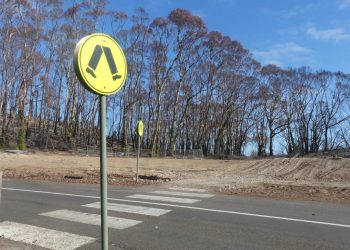 Friends of Parks, business and tourism groups respond to “Reimagining Kangaroo Island” plans | The Islander