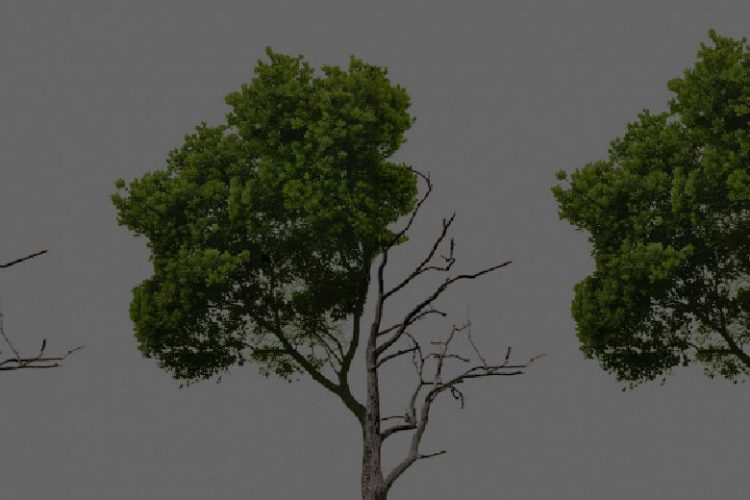 Road to Recovery Through Revenue Management