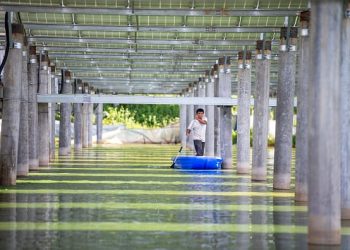 ESG and sustainable funds surpass $1 trillion for the first time