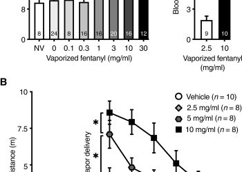 Fentanyl vapor self-administration model in mice to study opioid addiction
