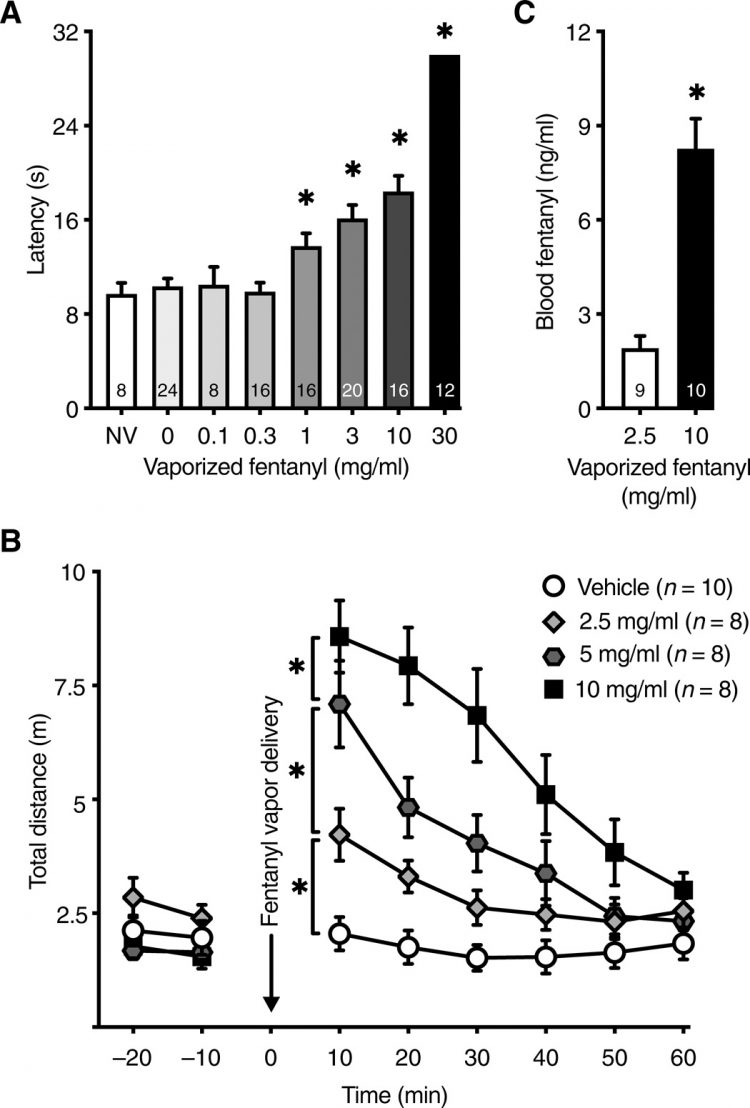 Fentanyl vapor self-administration model in mice to study opioid addiction