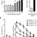 Fentanyl vapor self-administration model in mice to study opioid addiction