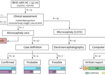 Association between brain morphology and electrophysiological features in Congenital Zika Virus Syndrome: A cross-sectional, observational study