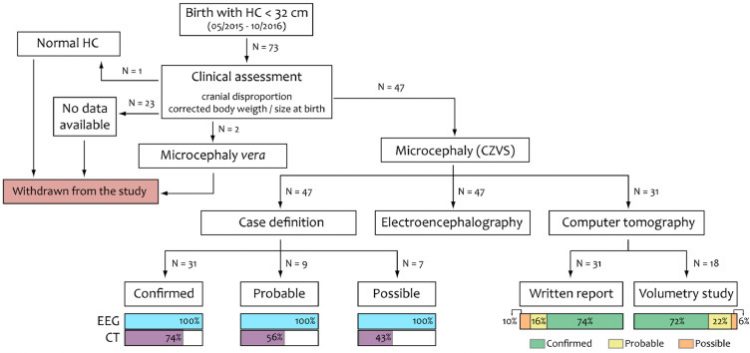 Association between brain morphology and electrophysiological features in Congenital Zika Virus Syndrome: A cross-sectional, observational study