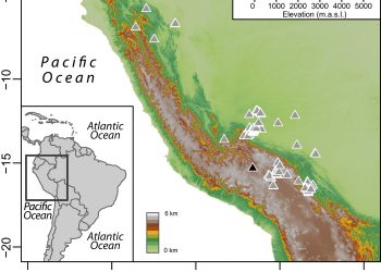 Neogene precipitation, vegetation, and elevation history of the Central Andean Plateau