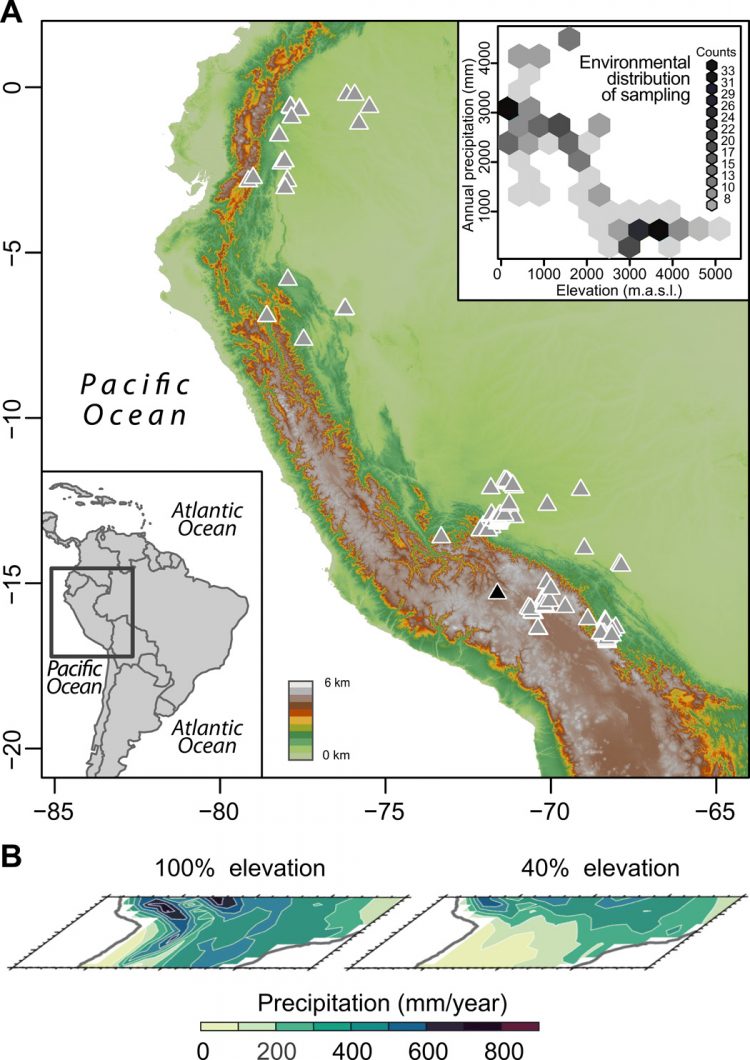 Neogene precipitation, vegetation, and elevation history of the Central Andean Plateau