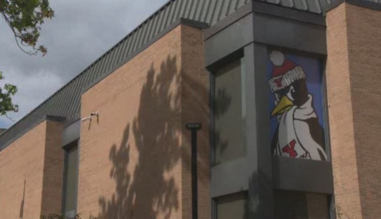 YSU creates pandemic focus group to outline campus future – WFMJ