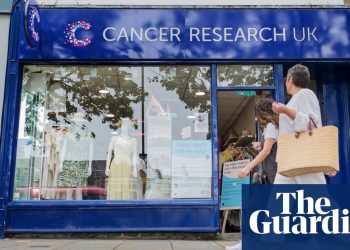 UK charity shops sales suffer despite lockdown ‘decluttering’ | Society