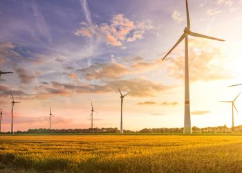 Investors air concerns of “greenwashing” amid ethical funds confusion