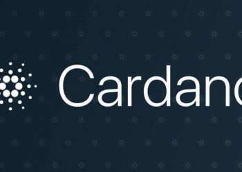 Cardano long-term price analysis: August 2