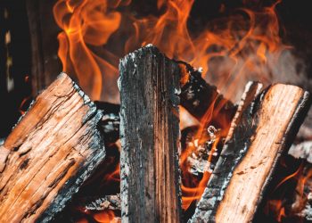 Pollution May Be Affecting Heart Health Among Latinx Community