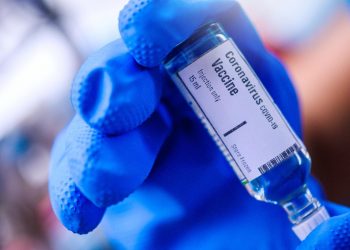 Single-Shot COVID-19 Vaccine Robustly Protects Non-human Primates Against SARS-CoV-2