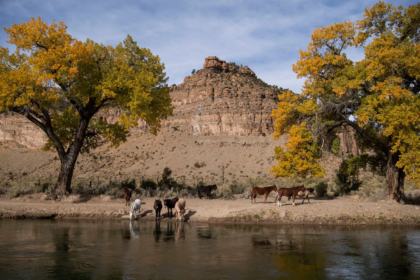 How to use The Post’s climate data analysis