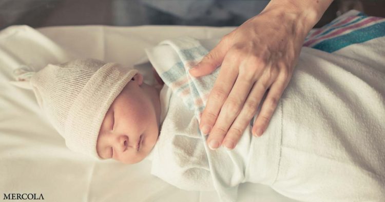 Placing Decline of Untimely Births and SIDS Throughout COVID