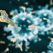 TIGIT Antibody for IHC Launched by Biocare Medical and Bethyl Laboratories