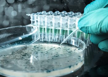 Flavourless Recipe For Dynavax Technologies Is Hurting Shareholders (NASDAQ:DVAX)