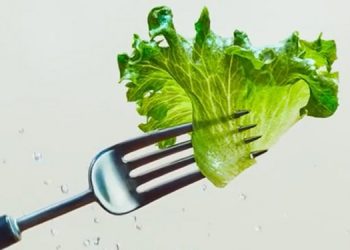 Bowery Farming Wants To Make Lettuce Safe, Smart And Tasty 08/12/2020