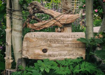 Children’s Perspectives on Healthy Spaces and Communities