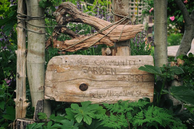 Children’s Perspectives on Healthy Spaces and Communities