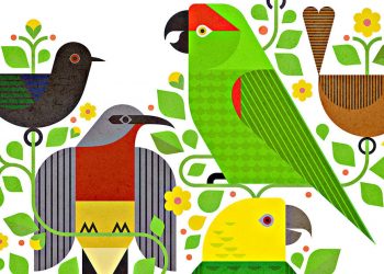 These Bird-Inspired Dance Albums Deliver Catchy Beats and Conservation Funding
