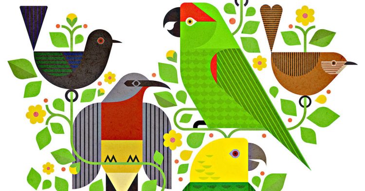 These Bird-Inspired Dance Albums Deliver Catchy Beats and Conservation Funding