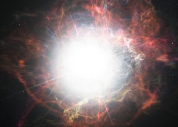 A supernova may have killed the monstrous fish of Earth’s Devonian Period