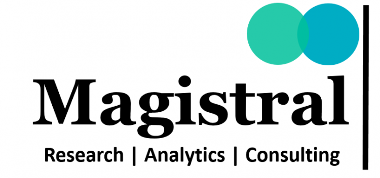 Magistral Consulting Grows Rapidly, Opens International Offices