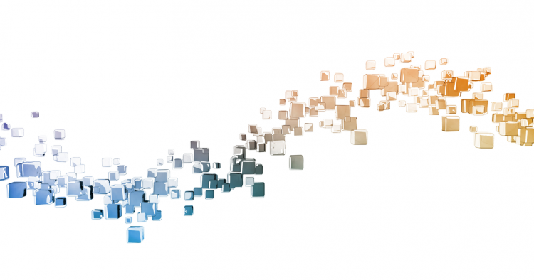 The Math & Skills You Need