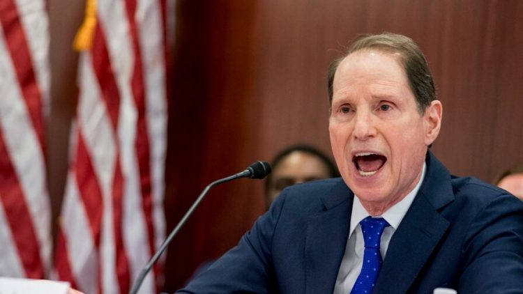 Oregon Dem wants to replace cops using unarmed teams funded via Medicaid hike: report