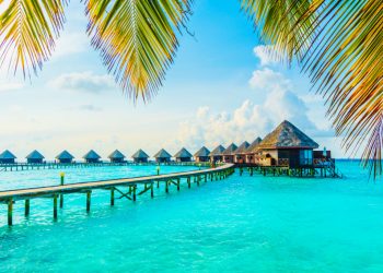 Maldives unveils new research for brand strategy for tourism development – Travel Daily