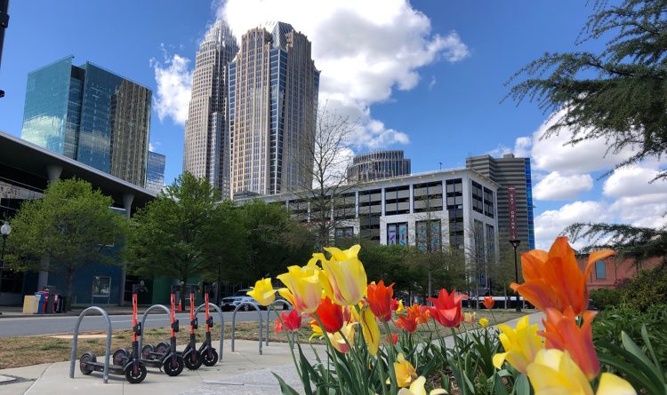 Cash Confessional: Paralegal-turned-bartender Taylor Jackson has grown her vodka brand during the pandemic