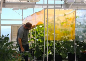 Job Training Incentive Program Funds Support 457 New NM Jobs, Including Five Trainees At UbiQD, Inc. In Los Alamos – Los Alamos Reporter