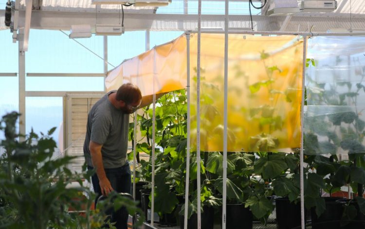 Job Training Incentive Program Funds Support 457 New NM Jobs, Including Five Trainees At UbiQD, Inc. In Los Alamos – Los Alamos Reporter