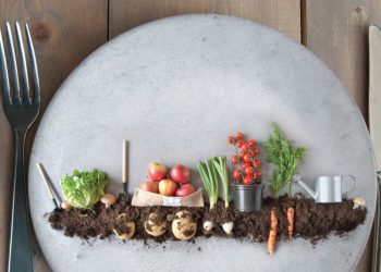 Plant-based foods stake their place in the retail food mainstream | 2020-09-13