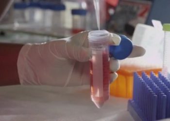 Blood cancer survivor discusses importance of funding cancer research – WWLP.com