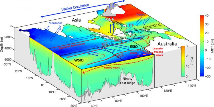 Unprecedented reduction and quick recovery of the South Indian Ocean heat content and sea level in 2014–2018