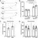 Paternal deprivation impairs social behavior putatively via epigenetic modification to lateral septum vasopressin receptor
