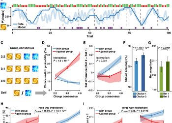 A brain network supporting social influences in human decision-making