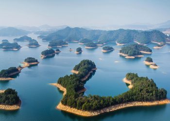Beverages – Nongfu Spring is a hit with tipplers and investors alike | Business