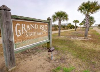 ‘Nurdle Patrol’ survey finds plastic pellets on almost every Louisiana and Texas beach
