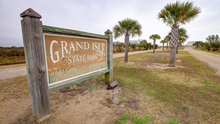 ‘Nurdle Patrol’ survey finds plastic pellets on almost every Louisiana and Texas beach