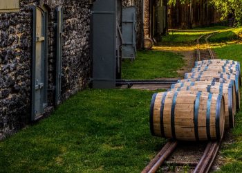 Wave’s whiskey fund buys first tranche of Kentucky bourbon